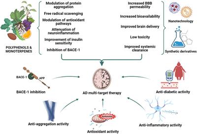 Exploring the Therapeutic Potential of Phytochemicals in Alzheimer’s Disease: Focus on Polyphenols and Monoterpenes